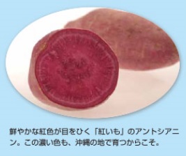 特徴2